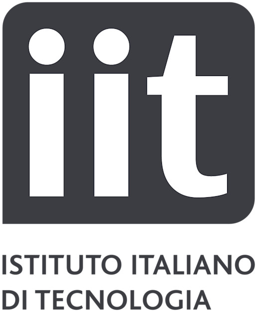 Italian Institute of Technology